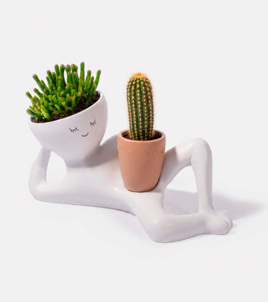 Pot à plante paresseux