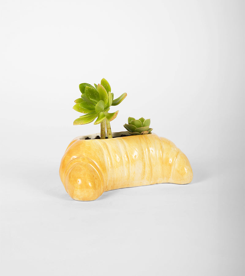 Vaso per piante croissant