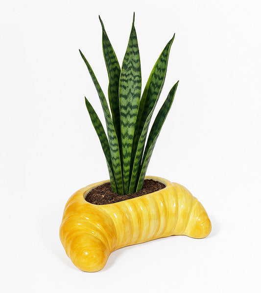 Vaso per piante croissant