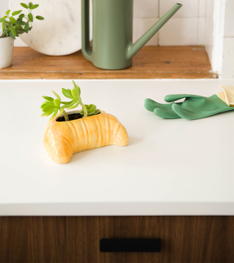Vaso per piante croissant