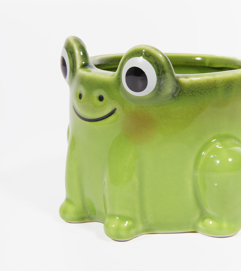 Pot à plante grenouille