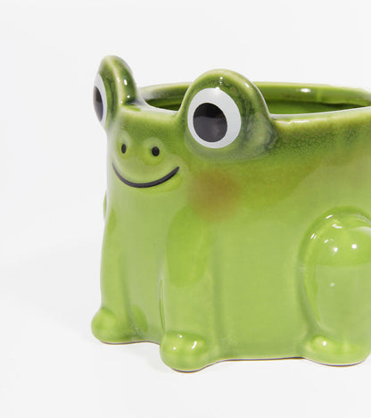 Pot à plante grenouille