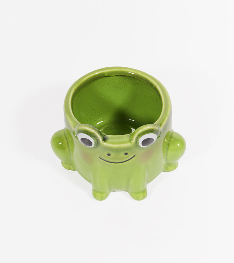 Vaso per piante di rana