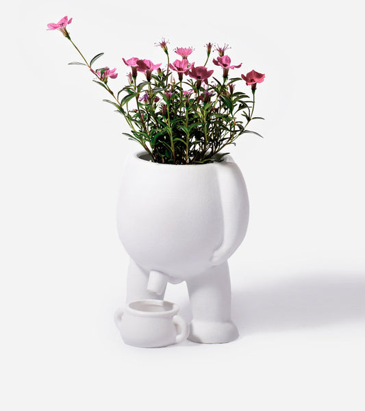 Vaso per piante che fa pipì