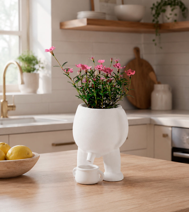 Vaso per piante che fa pipì