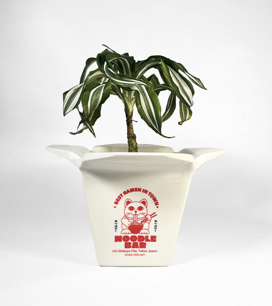 Vaso per piante Ramen