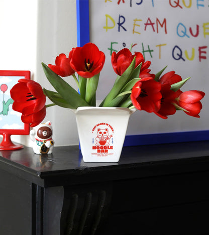 Pot à plantes Ramen