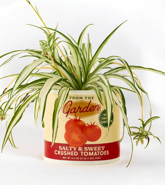 Pot à plantes sauce tomate