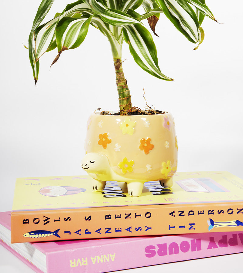 Pot à plantes tortue