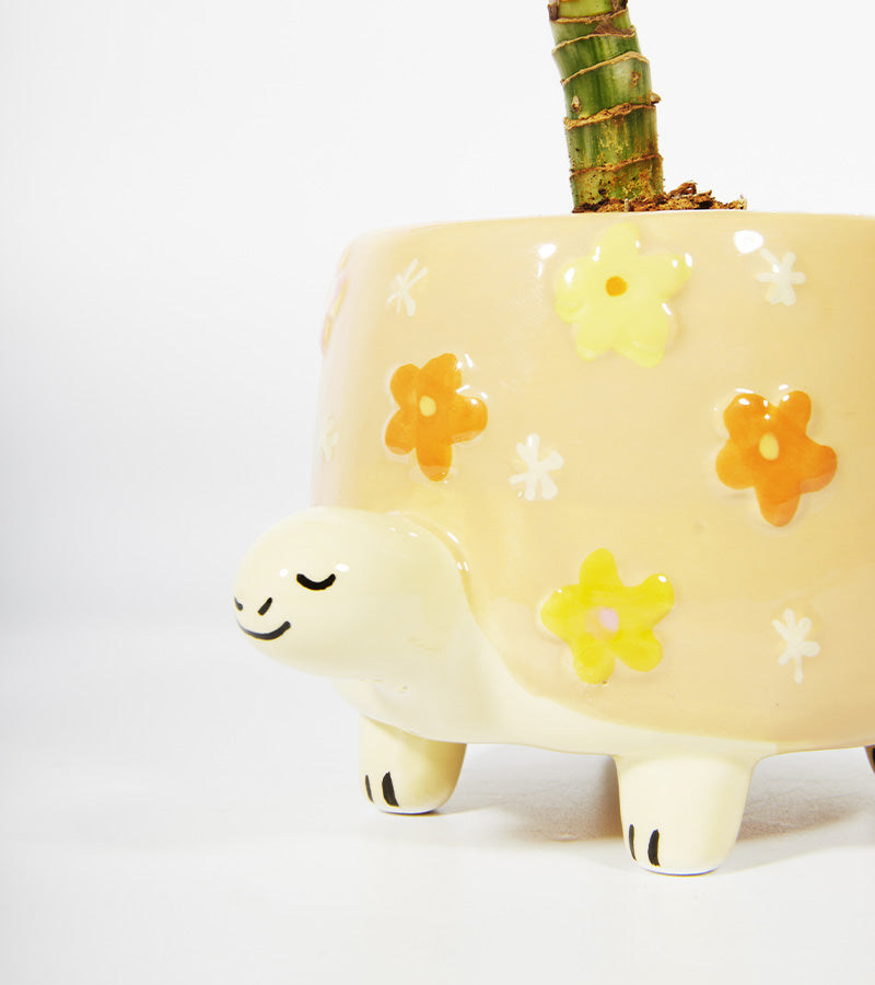 Pot à plantes tortue
