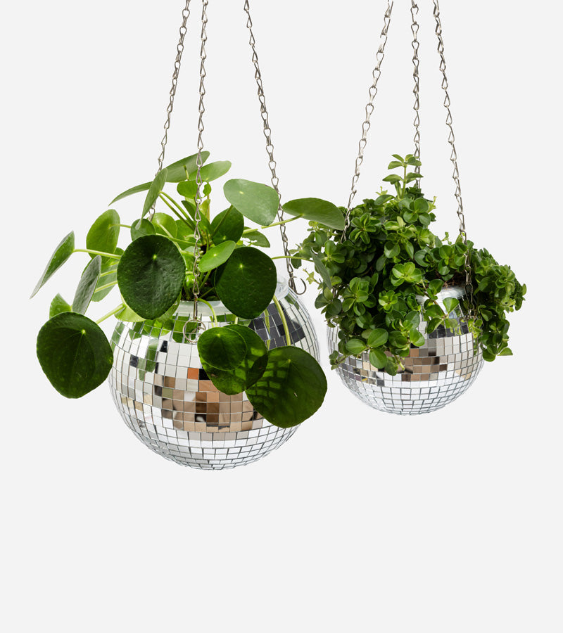 Pot de plantes disco boule à facettes 15cm  L'expressionist