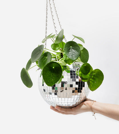 Pot de plantes disco boule à facettes  L'expressionist