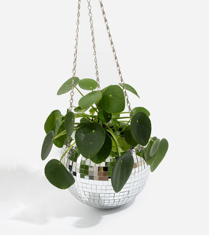 Pot de plantes disco boule à facettes  L'expressionist