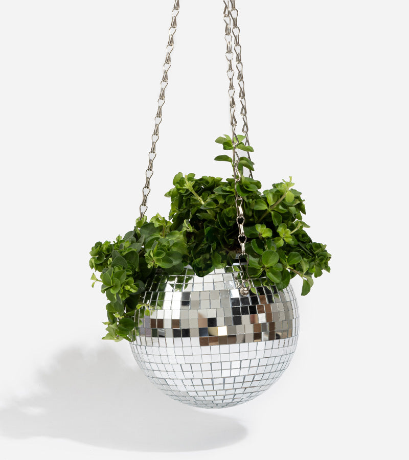 Pot de plantes disco boule à facettes  L'expressionist