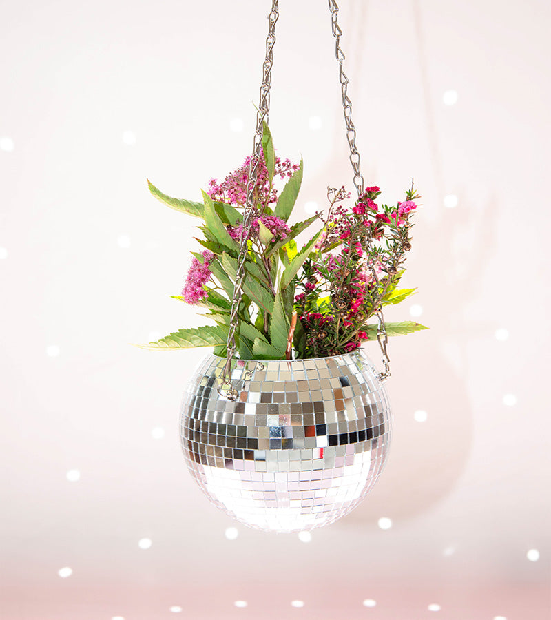 Pot de plantes disco boule à facettes