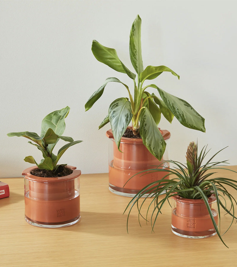 Vaso smart in ceramica - Wet Pot