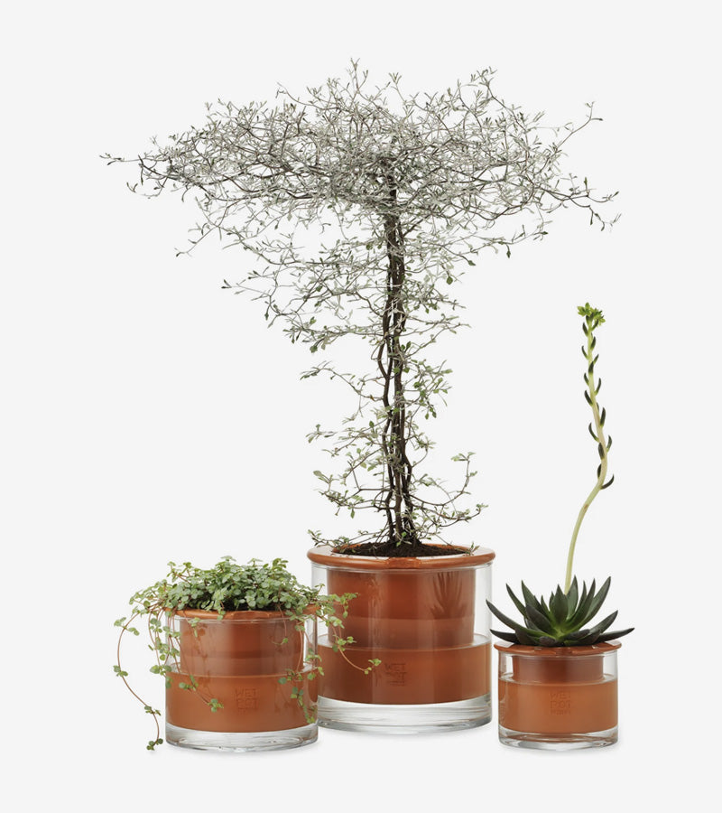 Vaso smart in ceramica - Wet Pot