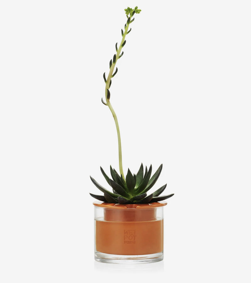 Vaso smart in ceramica - Wet Pot