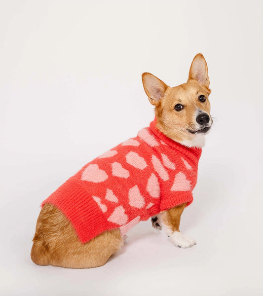 Maglione cuore per animali