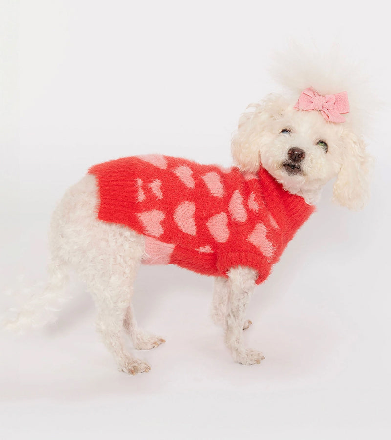 Pull coeurs pour animaux