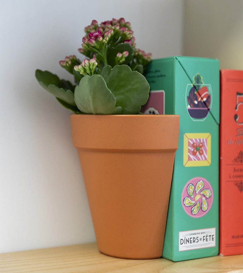 Serre-livres 2 en 1 / Pot à plantes