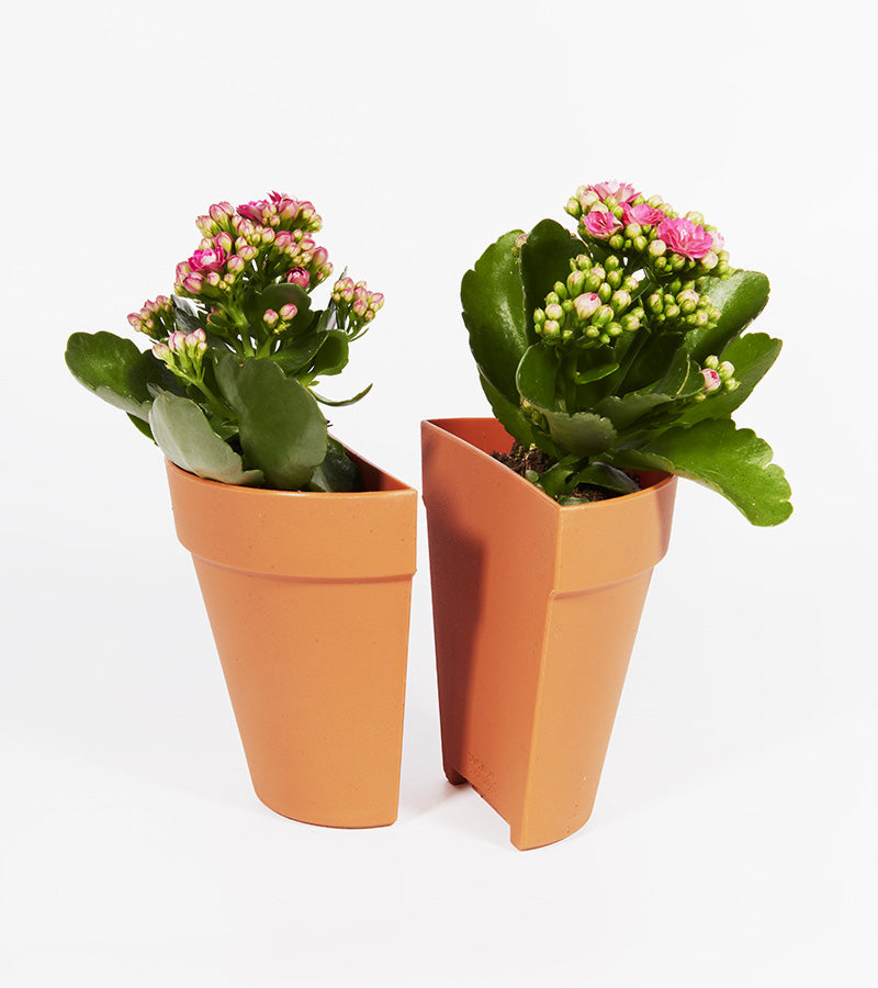 Fermalibri / Vaso per piante 2 in 1