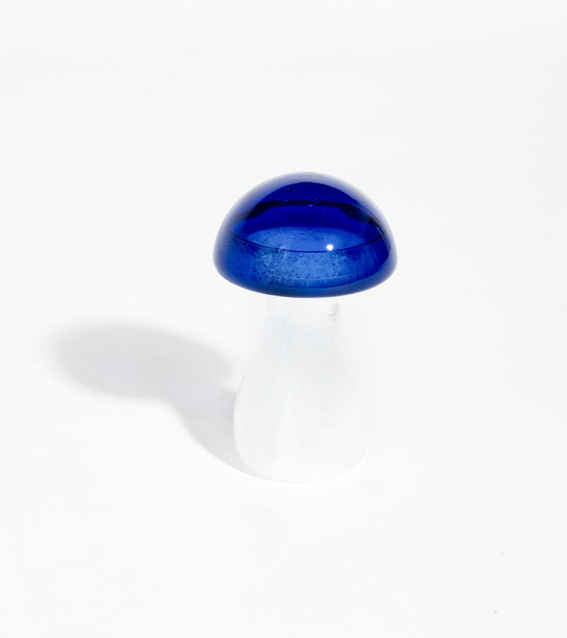 Storm Glass, barometro a fungo