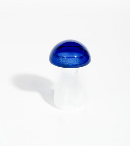 Storm glass champignon