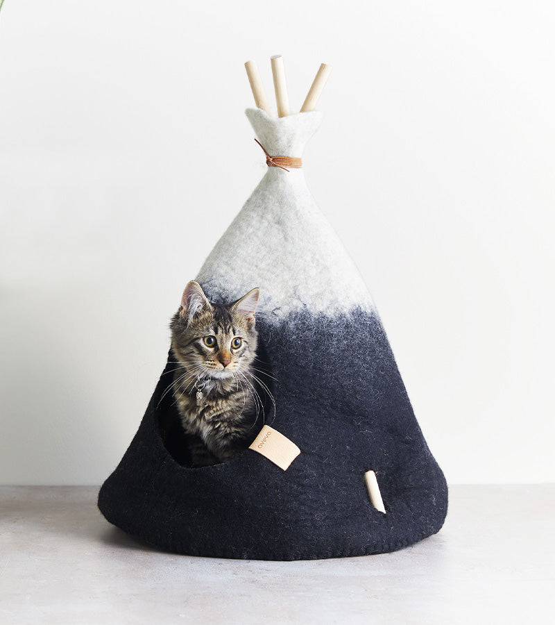 Tipi pour animaux 100% laine  Aveva