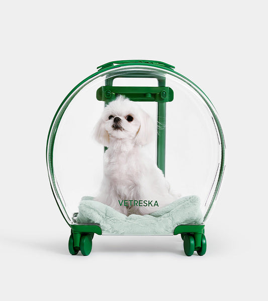 Valigia Bubble Pet - Verde