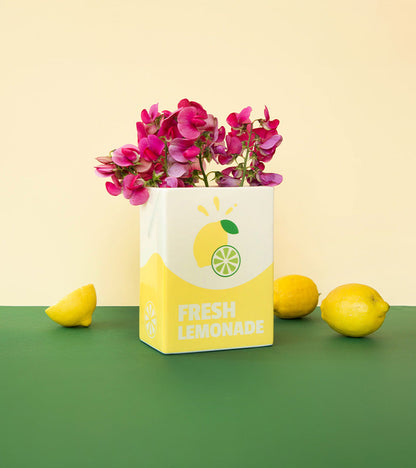 Vase brique de limonade