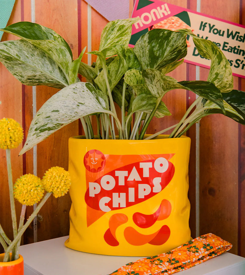 Vase pack de chips