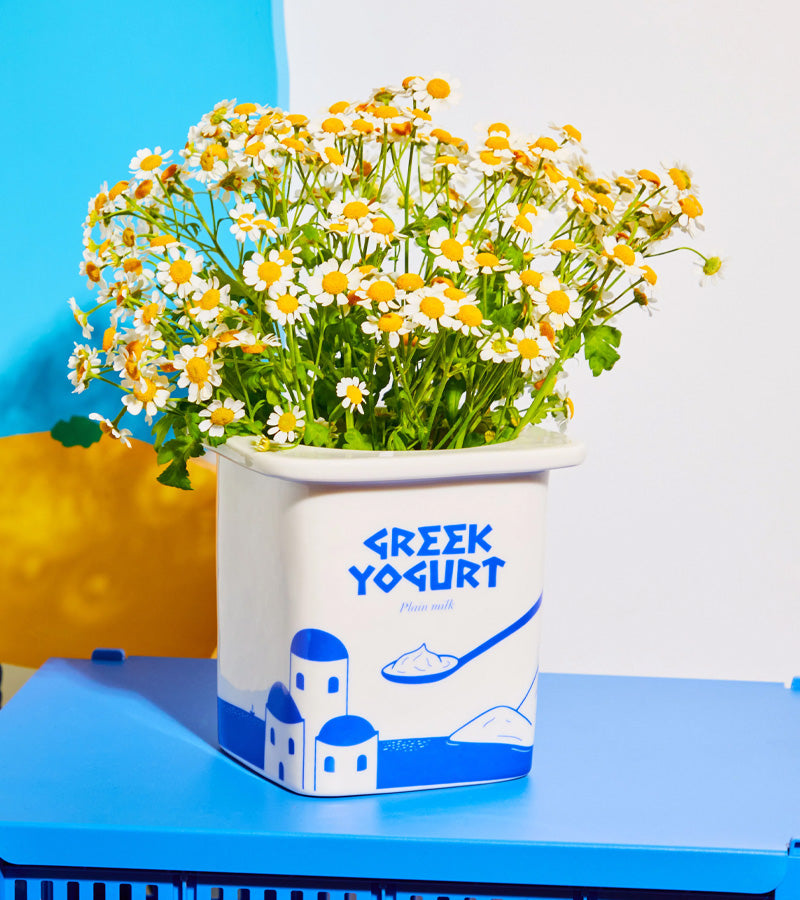 Vase / pot yaourt grec