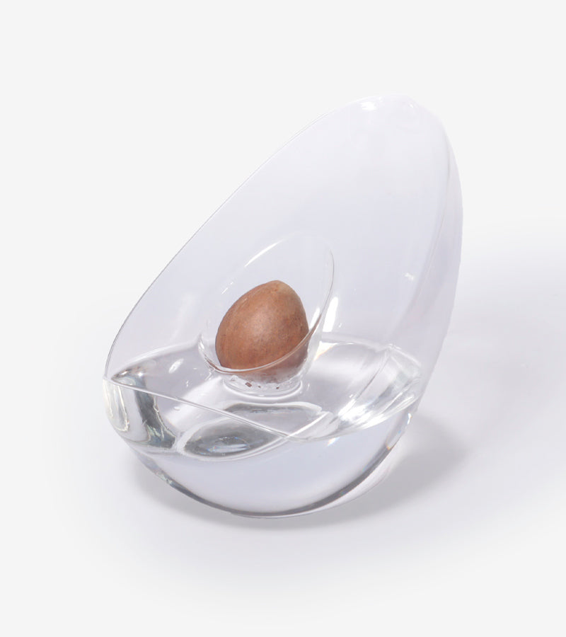 Vaso per germogliare il nocciolo d'avocado