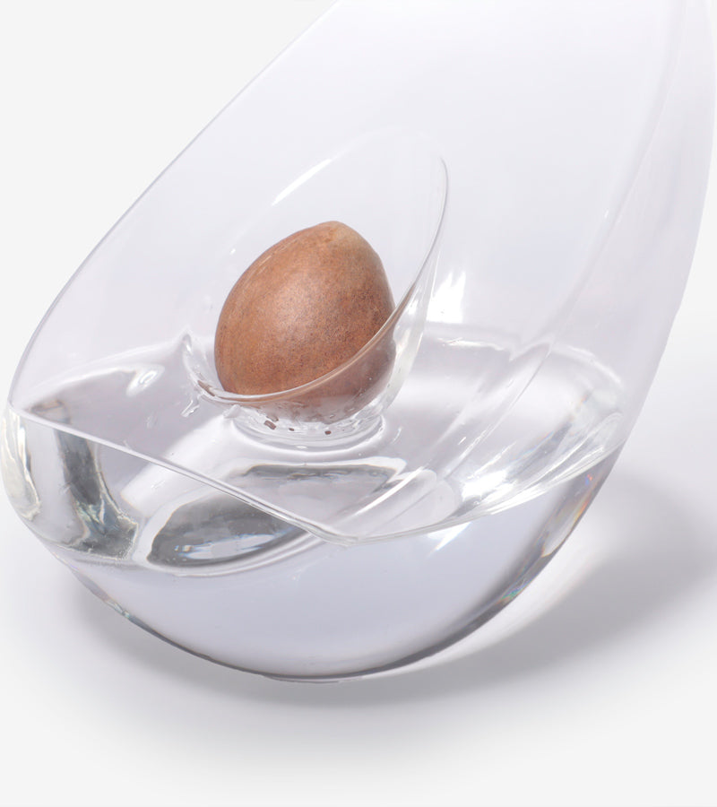 Vaso per germogliare il nocciolo d'avocado