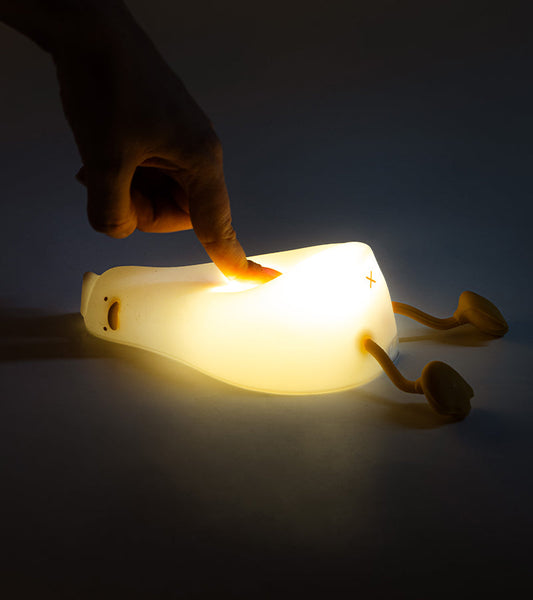 Luce notturna papero annoiato