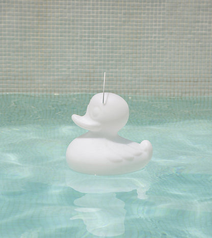 Veilleuse canard flottante