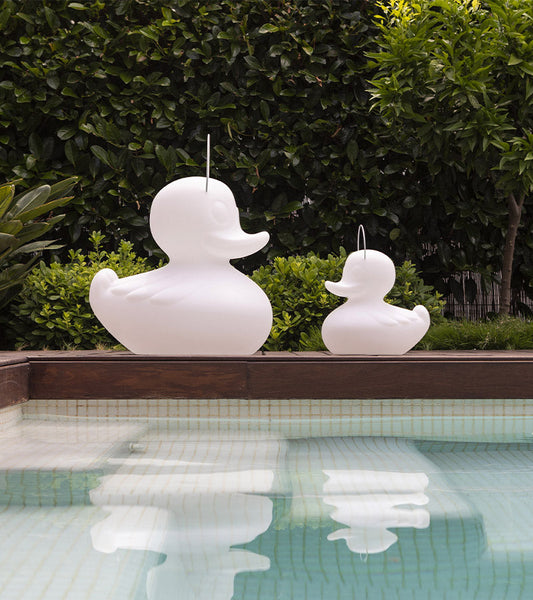 Luce notturna papera galleggiante