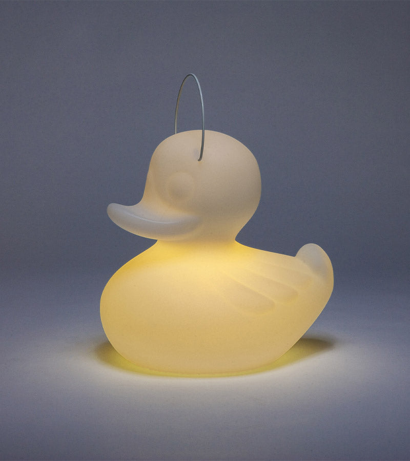 Luce notturna papera galleggiante