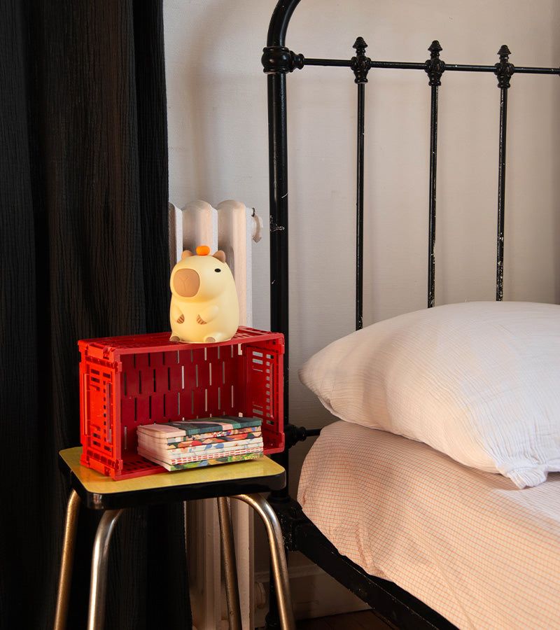 Bernard, la lampada da comodino capybara