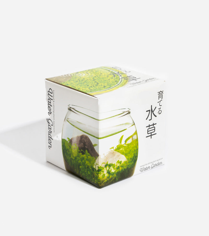 Water garden - Jardin d'eau 